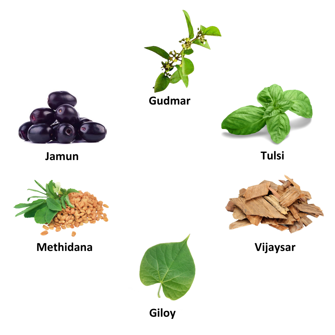 Madhyaman Sutra - Herbomineral Diabetes Supplement