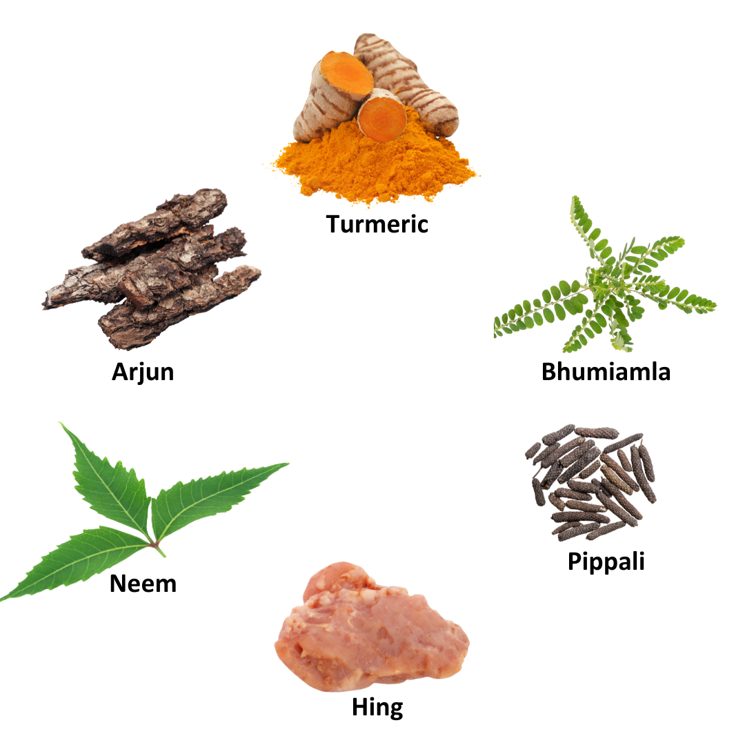 Madhyaman Sutra - Herbomineral Diabetes Supplement