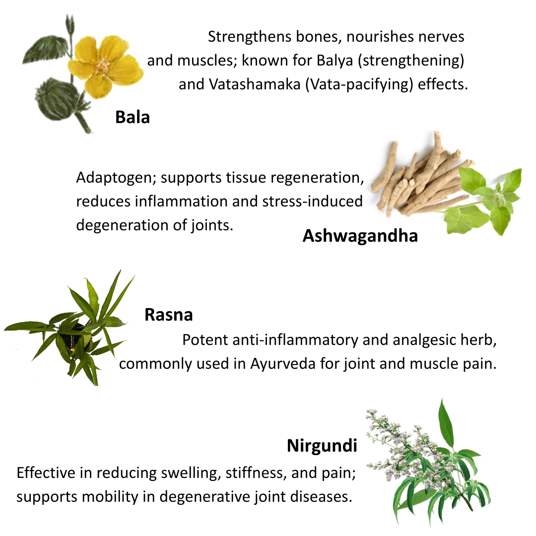 OsteoCare - Herbal Support for Joint Health, Strength & Mobility