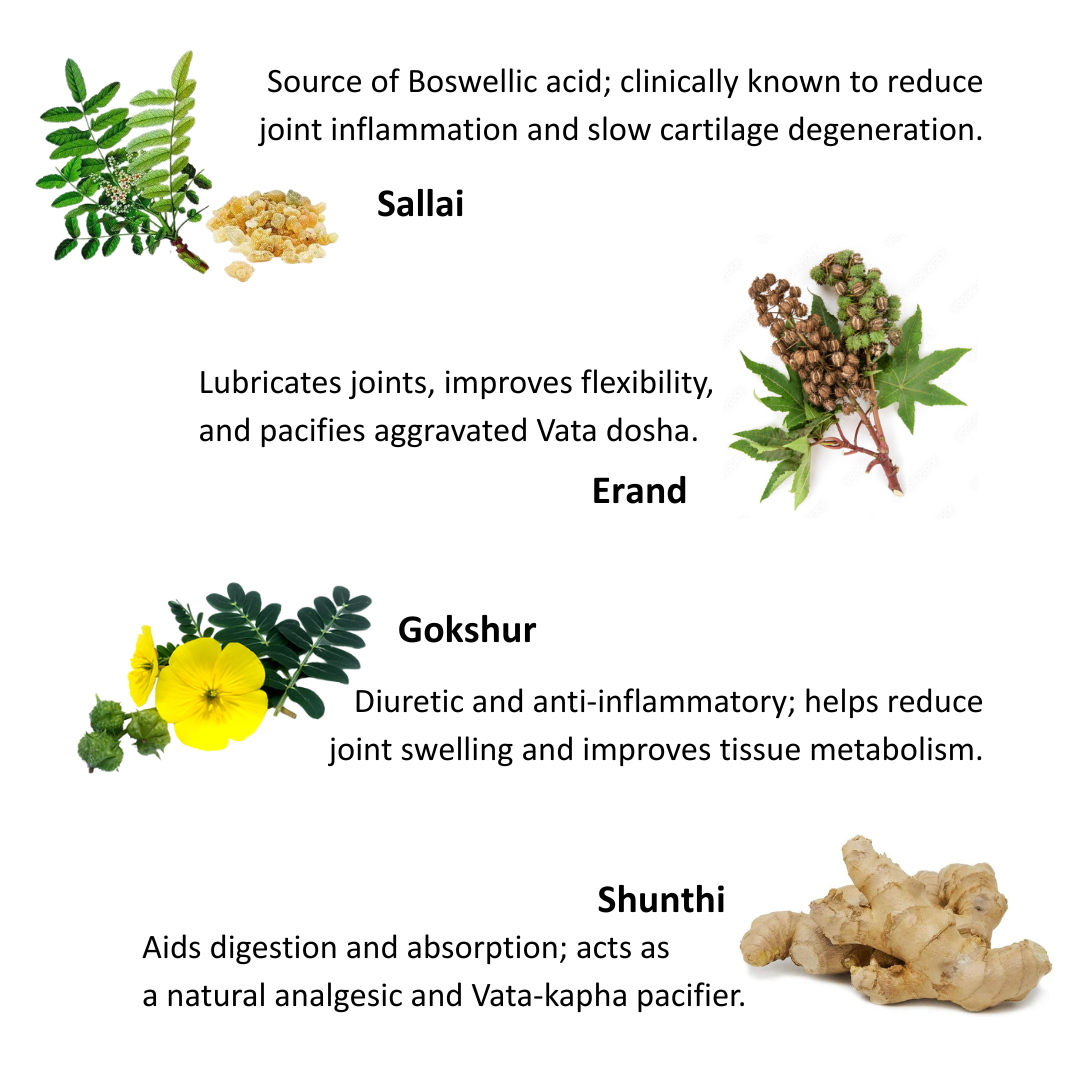 OsteoCare - Herbal Support for Joint Health, Strength & Mobility