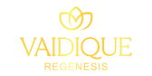 Vaidique