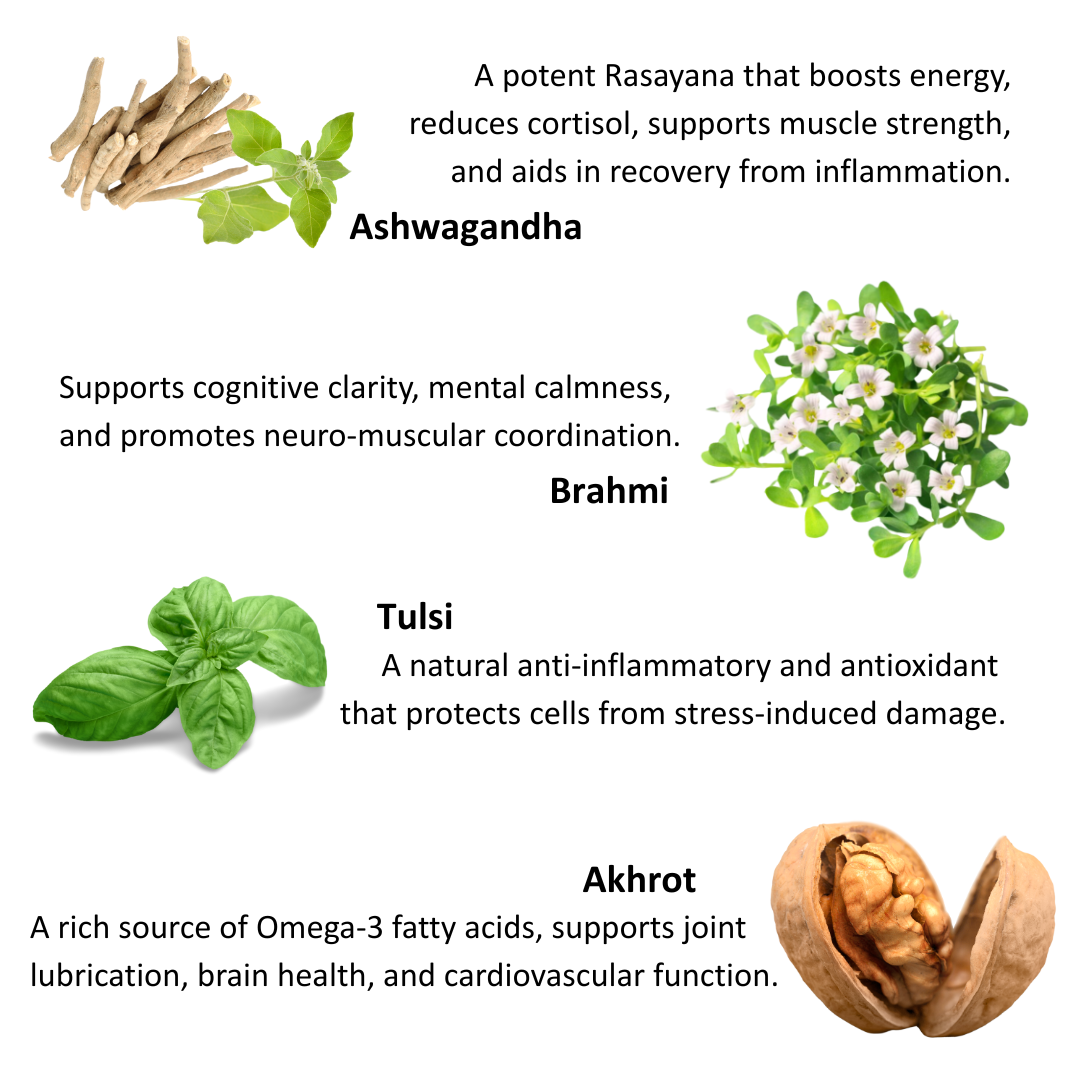 Zvayas Sutra – Herbal Support for Strength, Stamina & Vitality