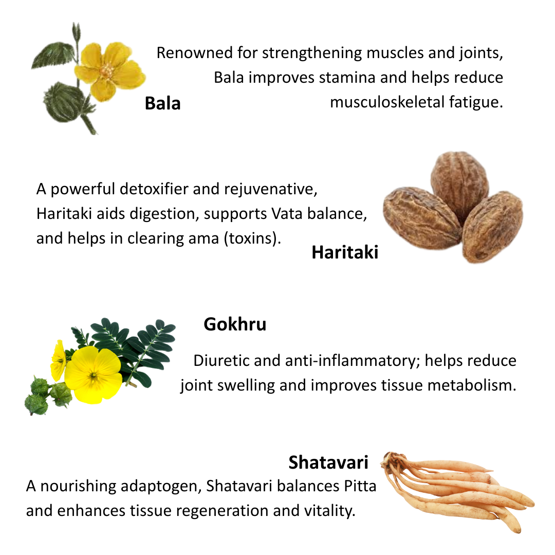 Zvayas Sutra – Herbal Support for Strength, Stamina & Vitality